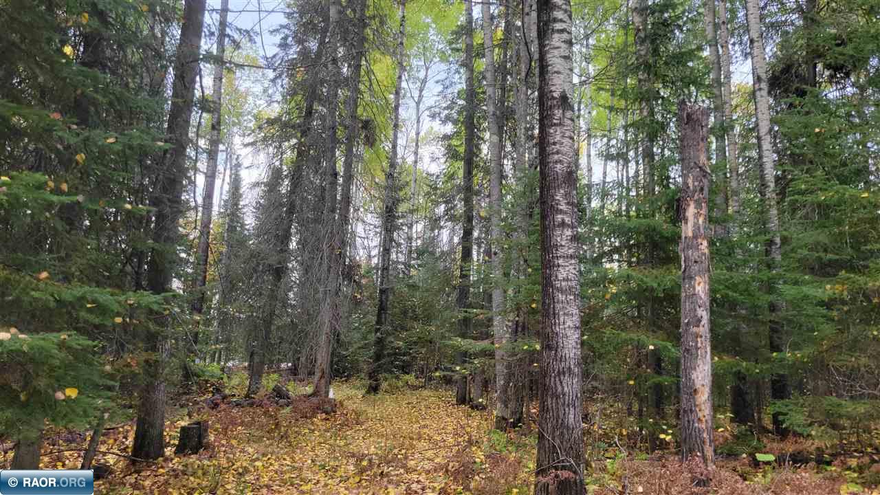 11973 Luna Lake Road Side Lake, MN 55781 - Photo 20 of 36