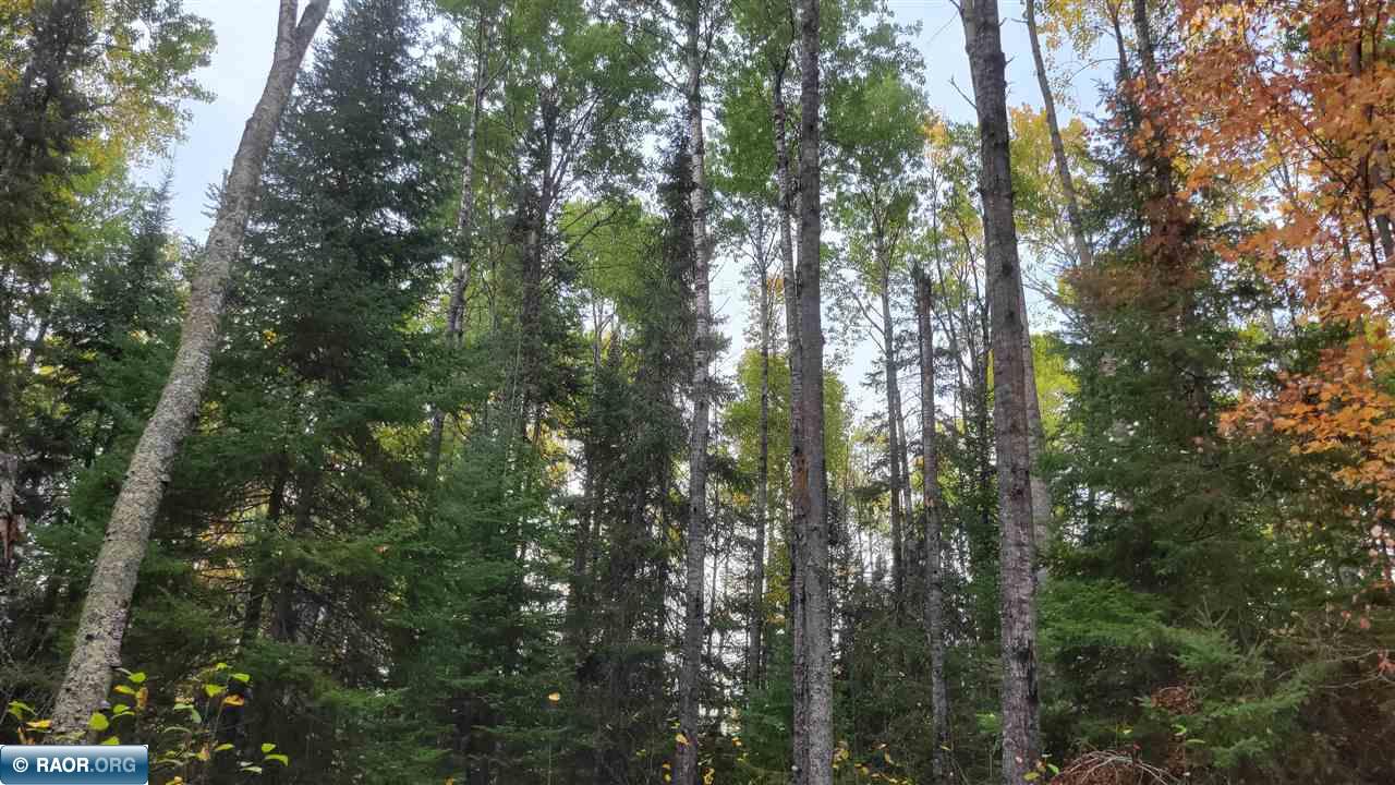11973 Luna Lake Road Side Lake, MN 55781 - Photo 21 of 36