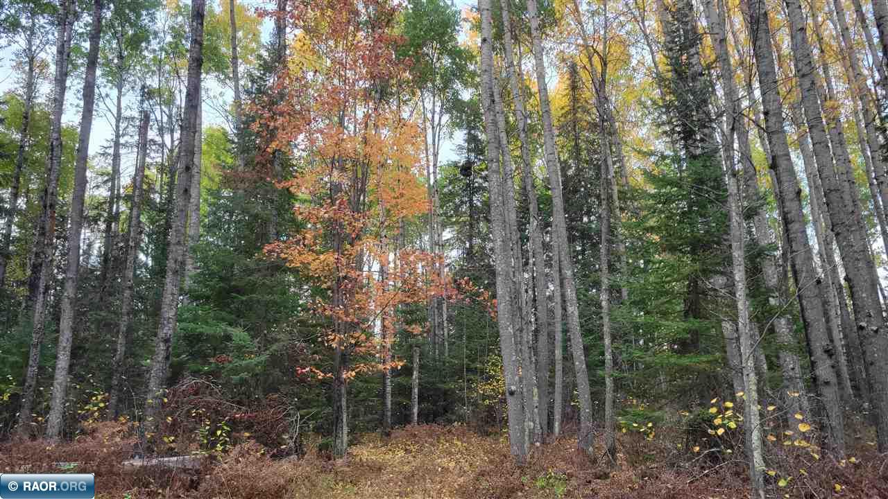 11973 Luna Lake Road Side Lake, MN 55781 - Photo 22 of 36
