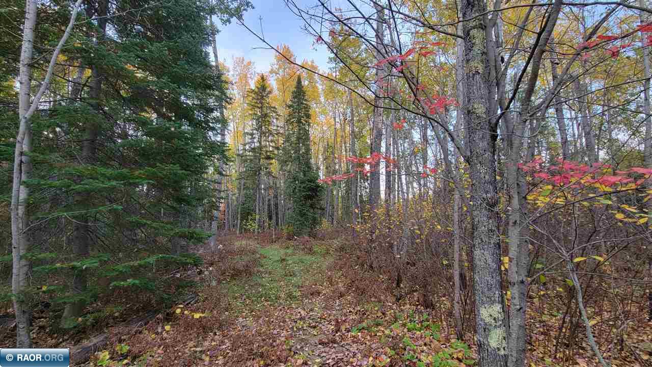 11973 Luna Lake Road Side Lake, MN 55781 - Photo 23 of 36