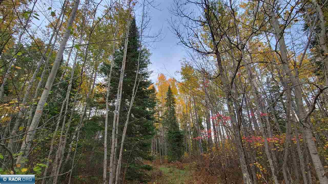 11973 Luna Lake Road Side Lake, MN 55781 - Photo 24 of 36