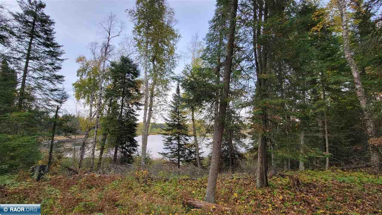 11973 Luna Lake Road Side Lake, MN 55781 - Photo 26 of 36