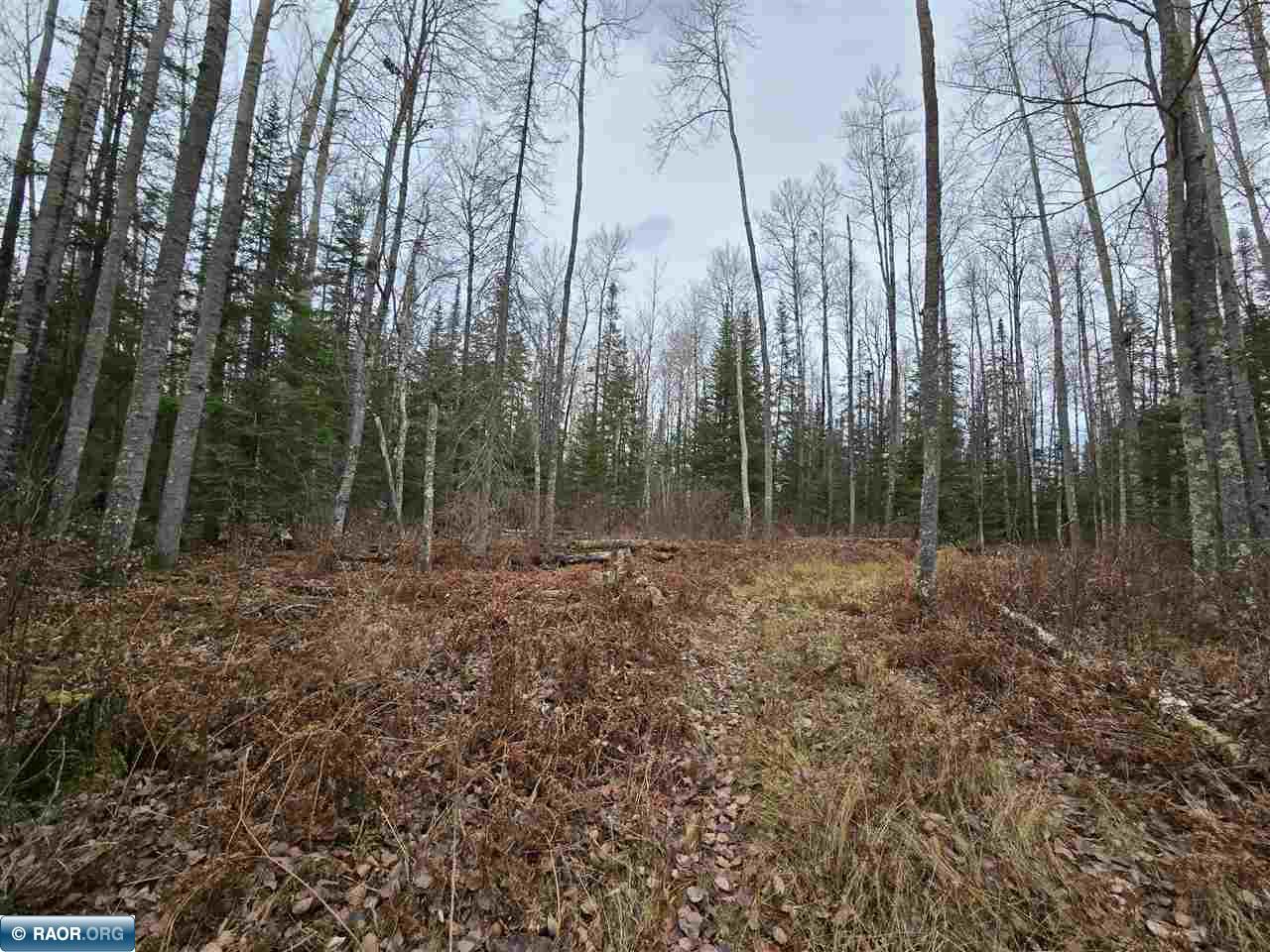11973 Luna Lake Road Side Lake, MN 55781 - Photo 27 of 36