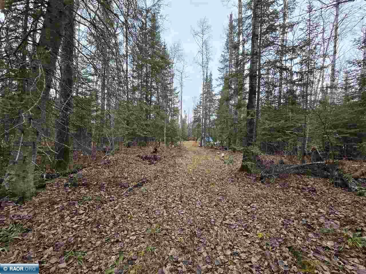 11973 Luna Lake Road Side Lake, MN 55781 - Photo 28 of 36