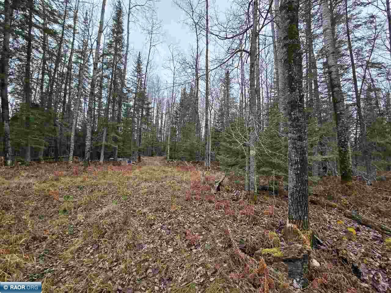 11973 Luna Lake Road Side Lake, MN 55781 - Photo 30 of 36