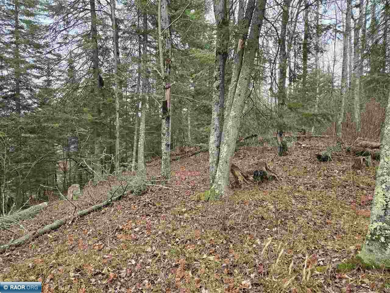 11973 Luna Lake Road Side Lake, MN 55781 - Photo 31 of 36