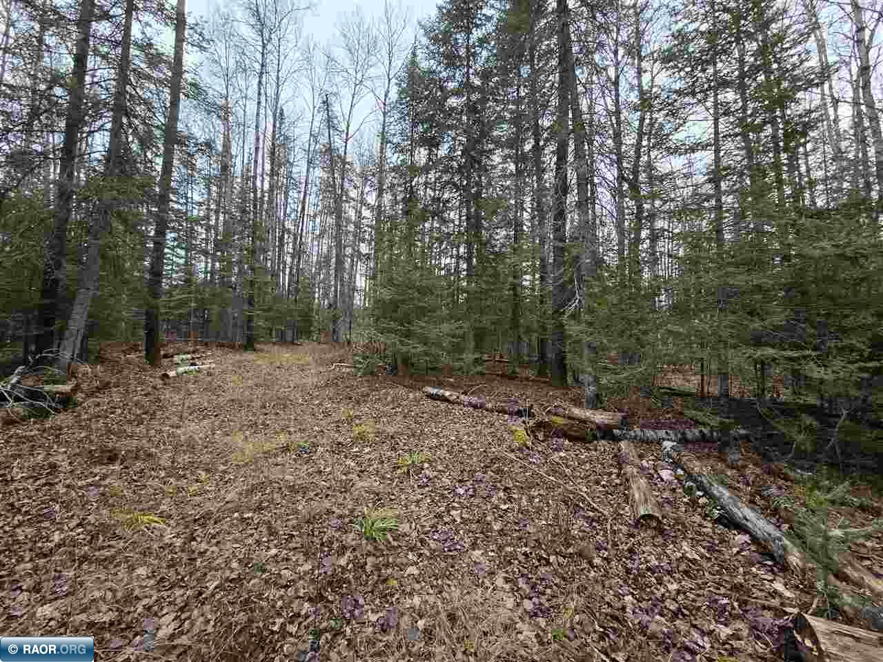 11973 Luna Lake Road Side Lake, MN 55781 - Photo 33 of 36