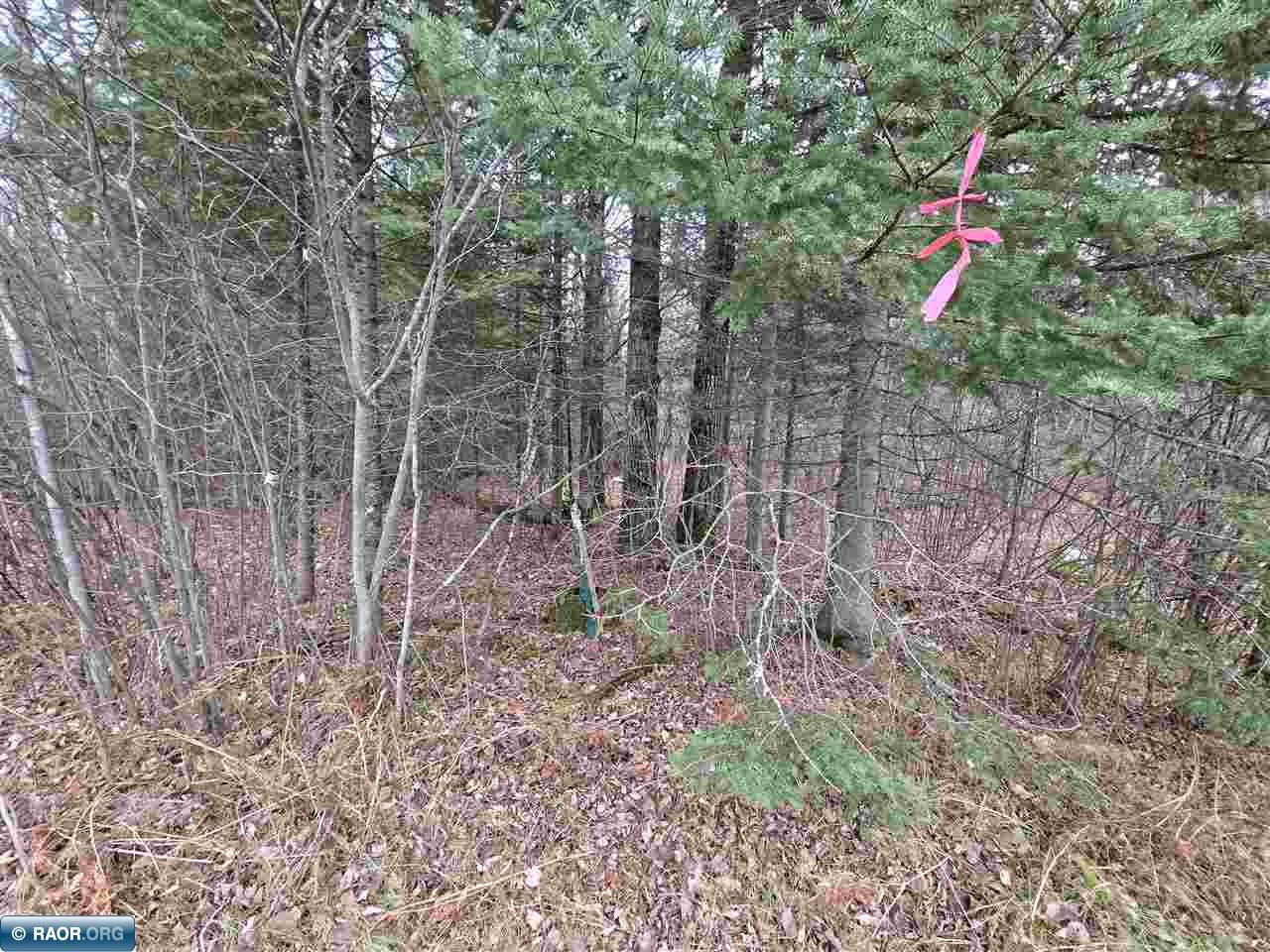 11973 Luna Lake Road Side Lake, MN 55781 - Photo 34 of 36