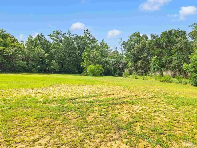a view of a yard with a tree