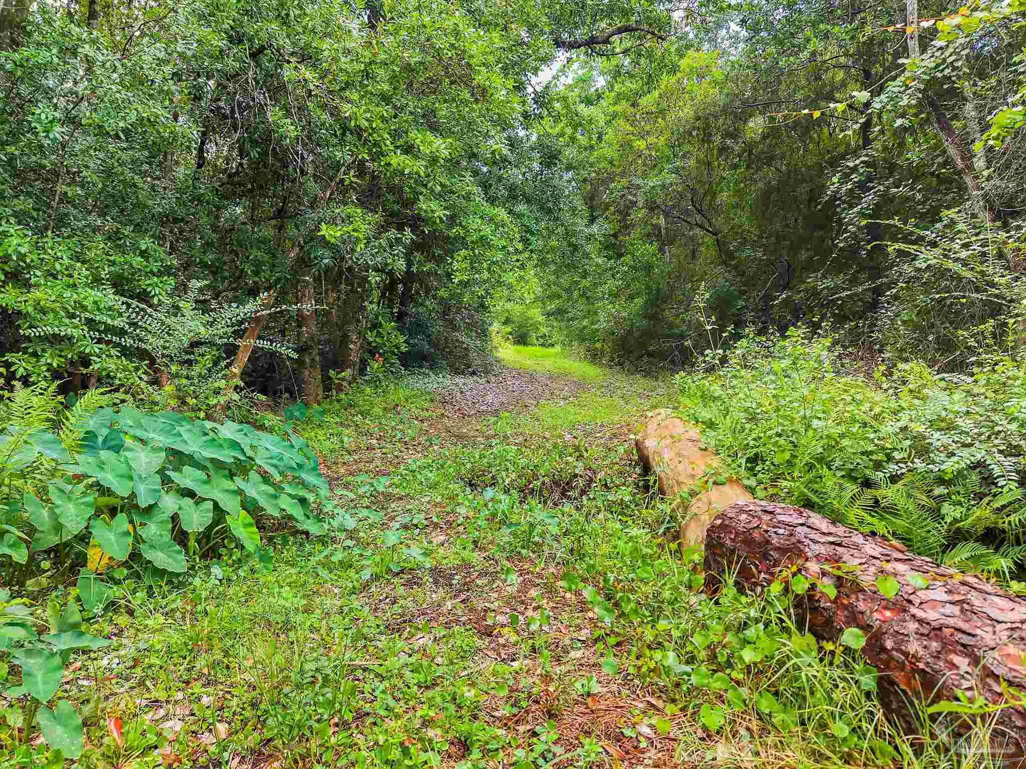 6640 Frank Reeder Road Pensacola, FL 32526 - Photo 29 of 72