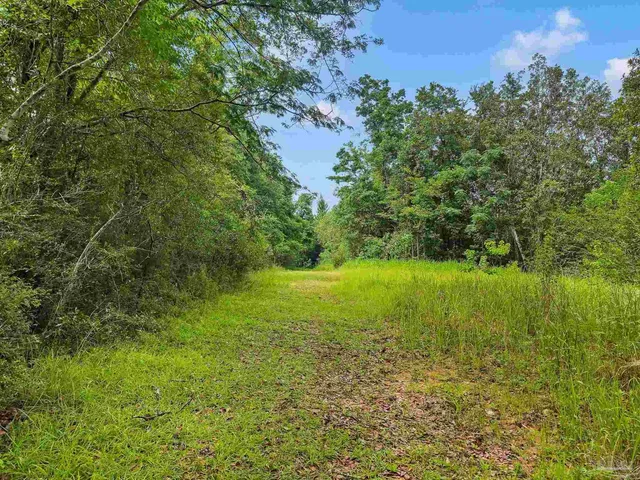 a view of a garden with an outdoor space