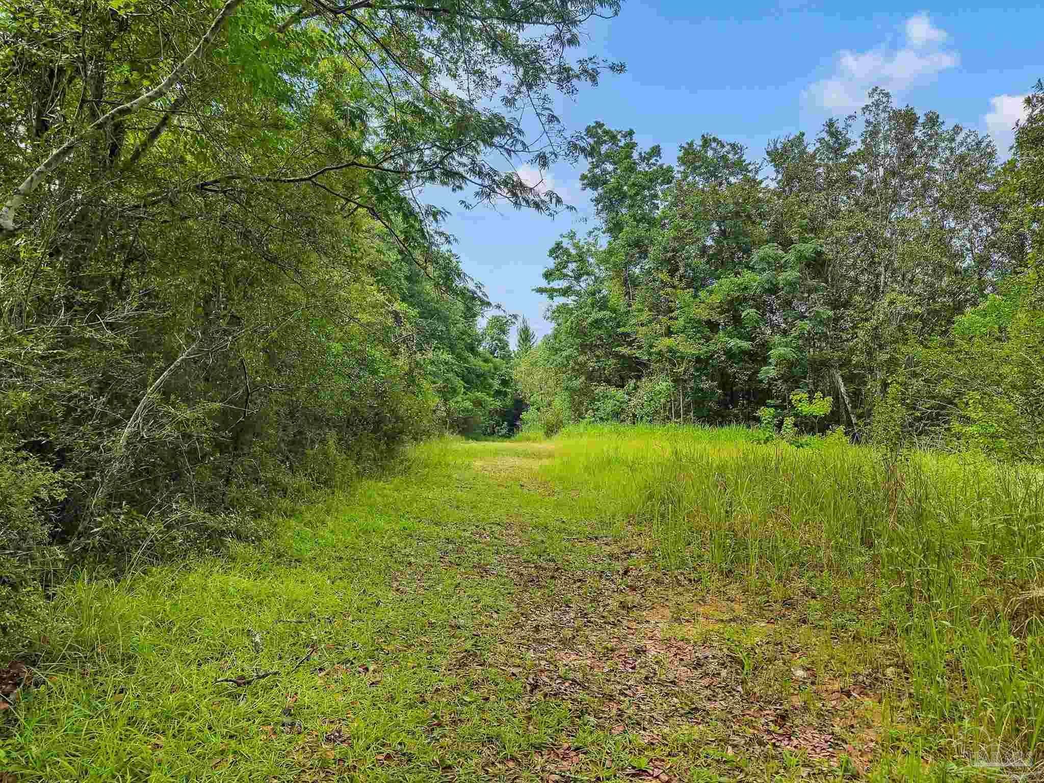 6640 Frank Reeder Road Pensacola, FL 32526 - Photo 32 of 72