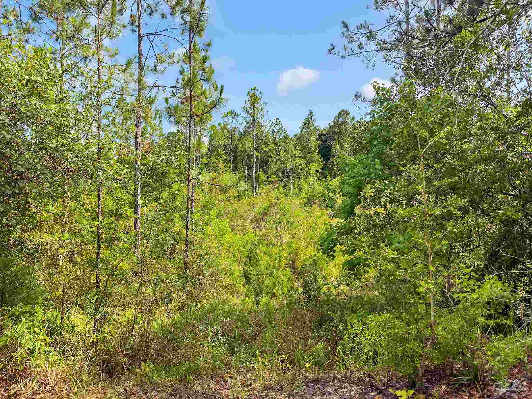 6640 Frank Reeder Road Pensacola, FL 32526 - Photo 34 of 72