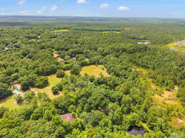 a view of a yard with an outdoor space