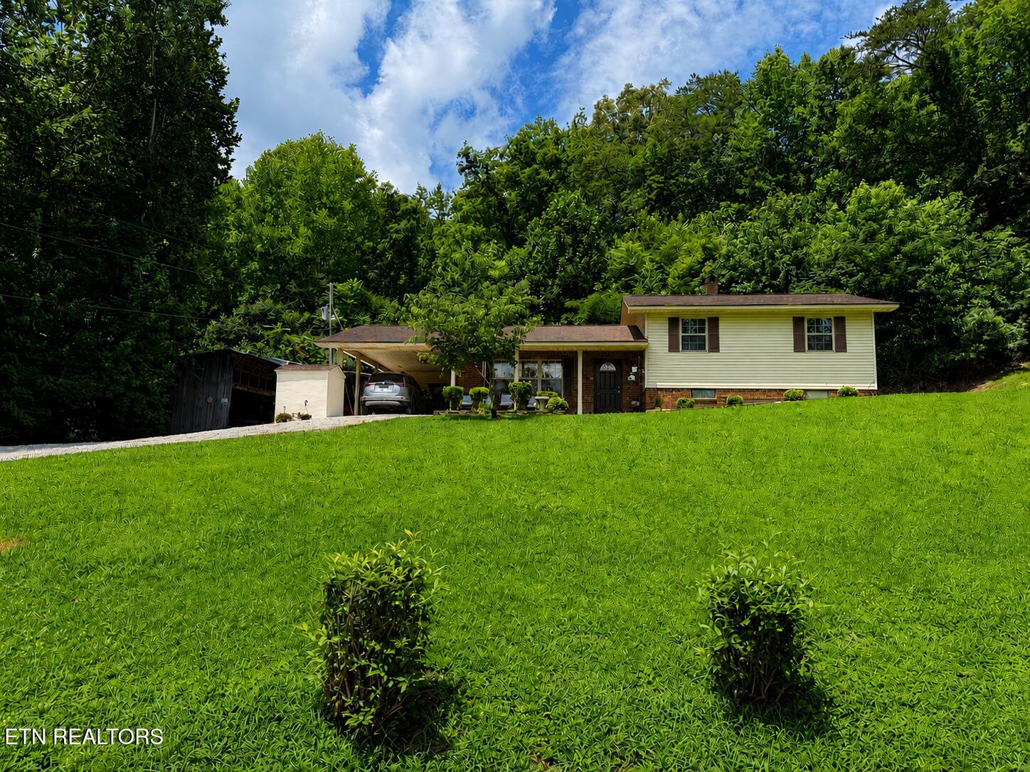 7914 Brimstone Road Robbins, TN 37852 - Photo 8 of 57 281584D8-DFFC-4B4B-8B91-8C8680CA1D37