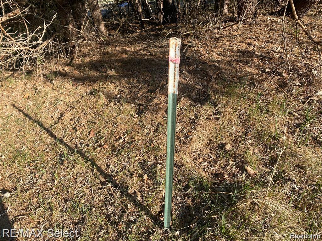 0 Weeden Road Caro, MI 48723 - Photo 9 of 11