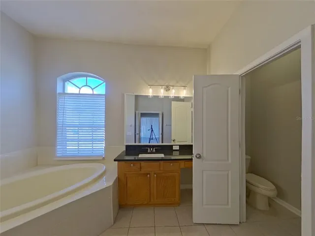 a bathroom with a bathtub sink vanity and mirror