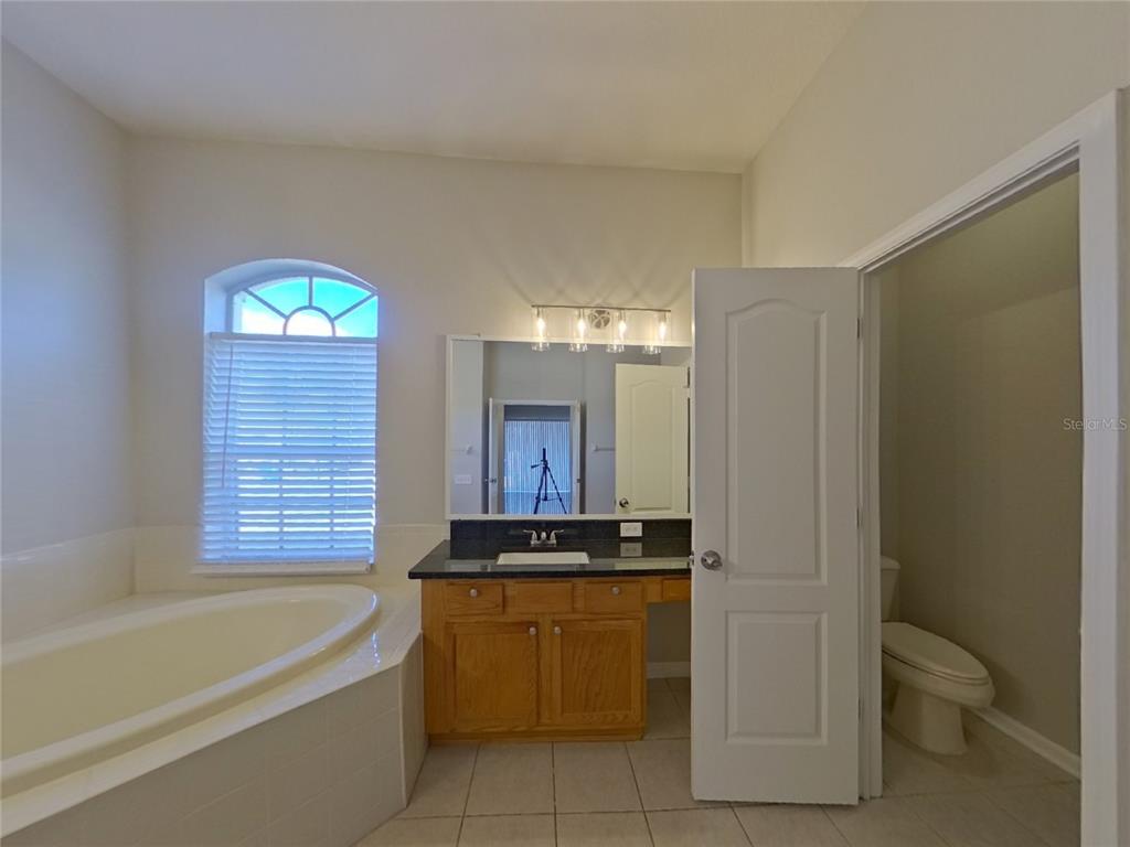Undisclosed Address Land O Lakes, FL 34638 - Photo 7 of 18 a bathroom with a bathtub sink vanity and mirror