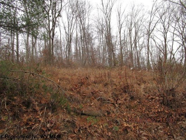 300 Hunters Cove Road Walkersville, WV 26447 - Photo 8 of 10 Gallery Image 8