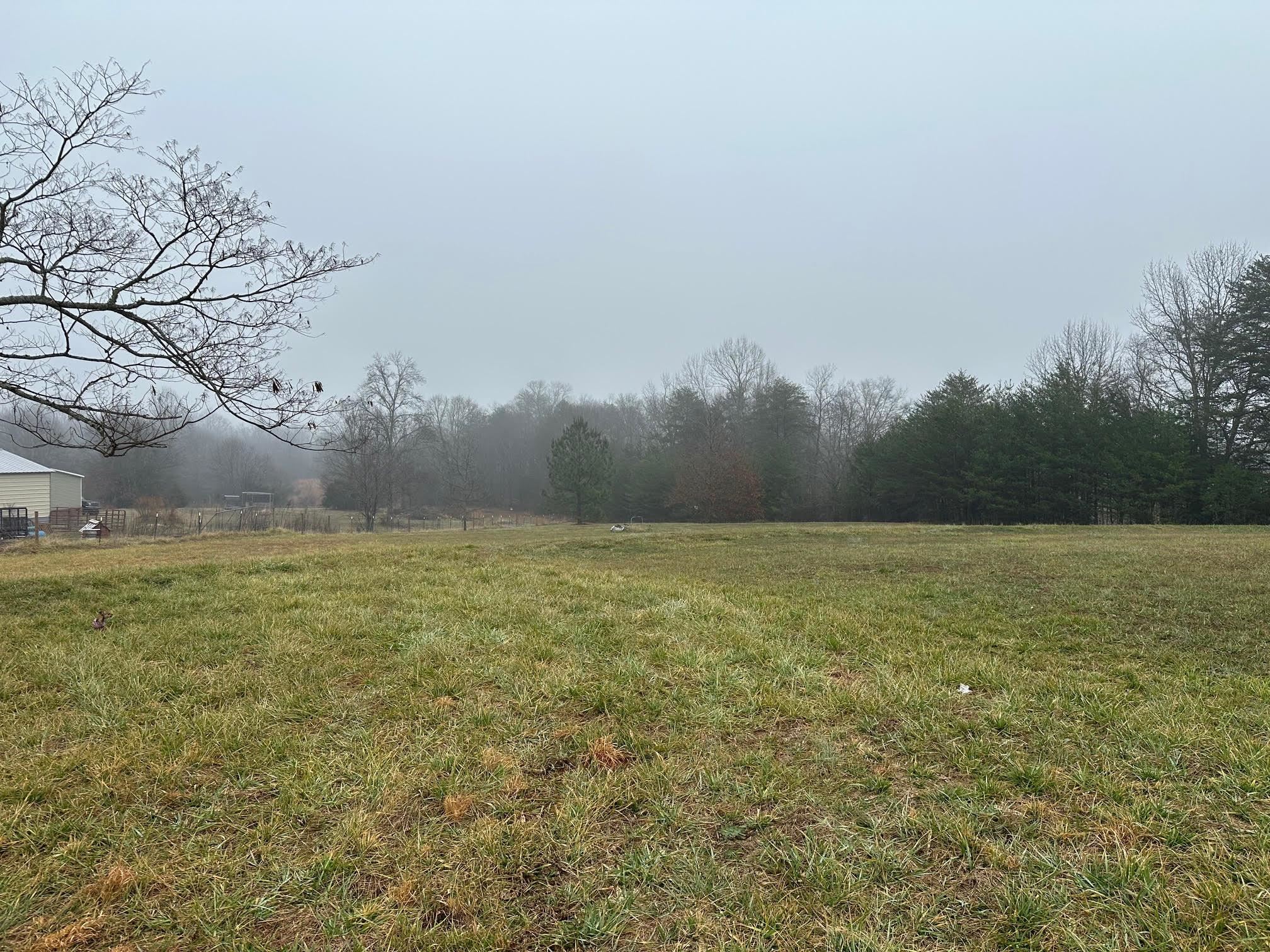 910 Jolley Road Chesnee, SC 29323 - Photo 7 of 19