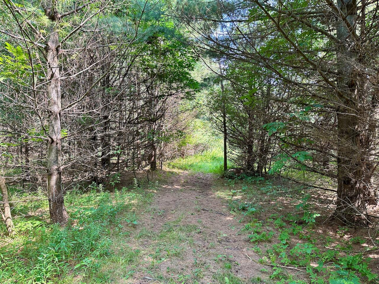 0 Dave Straight Road Jay, NY 12941 - Photo 6 of 17