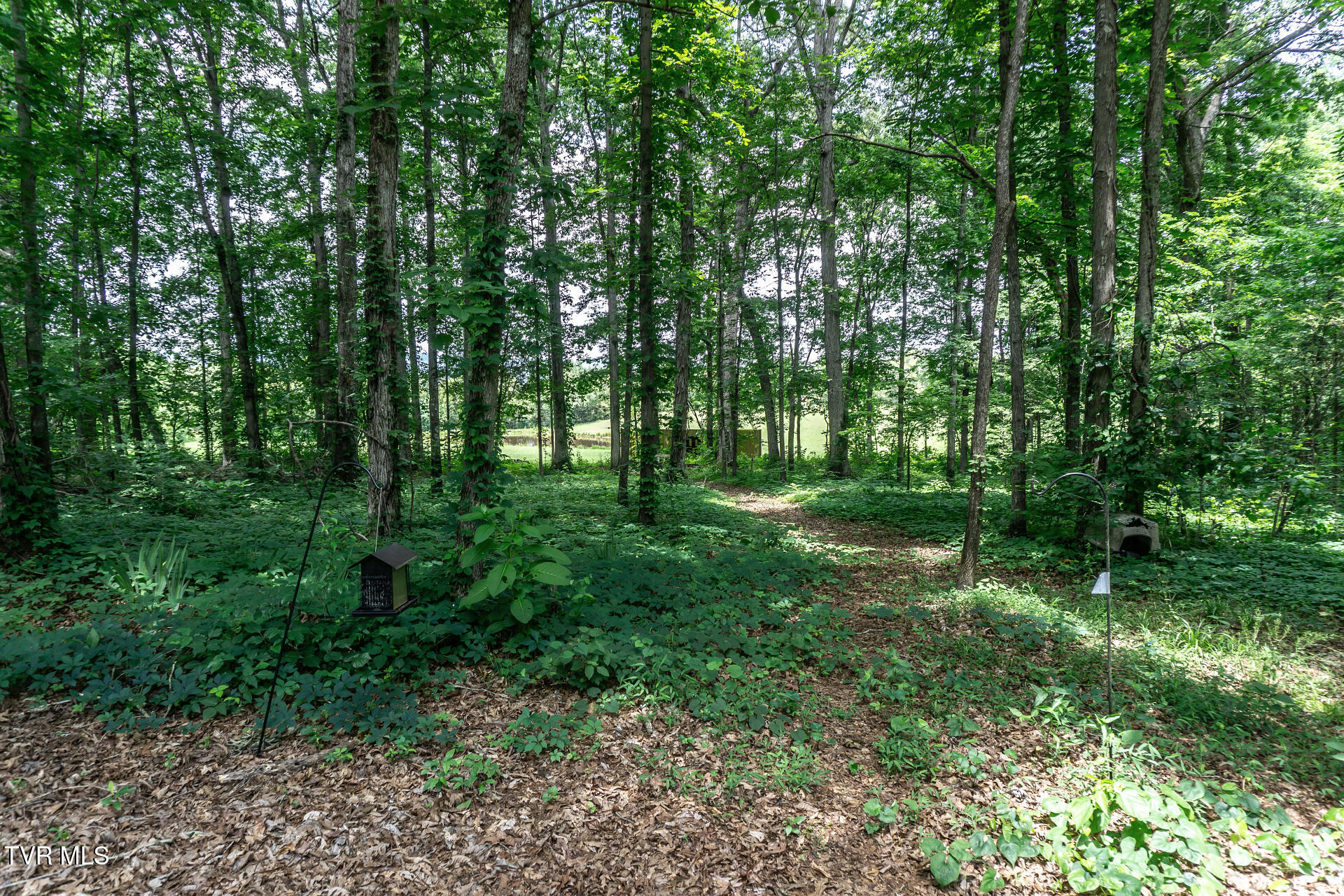 835 Pike Road Greeneville, TN 37745 - Photo 58 of 63 835PikeRdB_008
