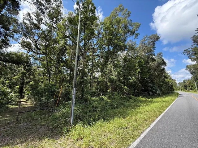 a view of a back yard