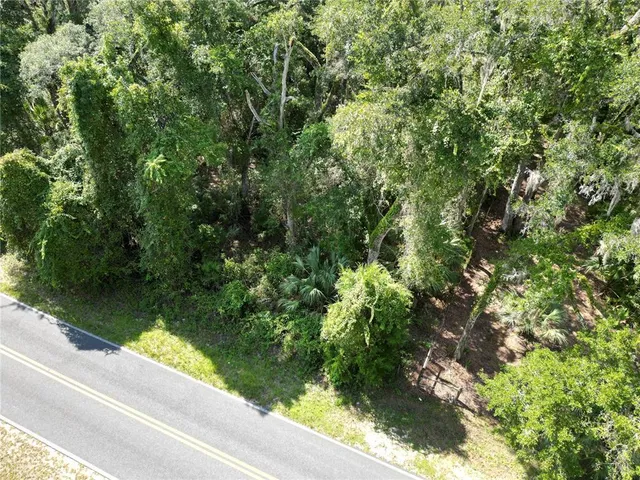 a view of a lush green forest with lawn chairs