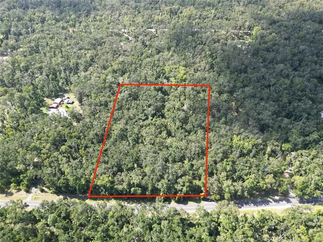 a view of a yard with a large trees