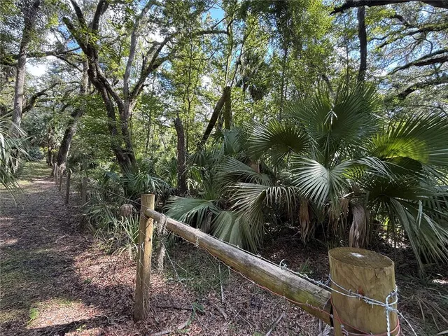 a view of outdoor space and yard