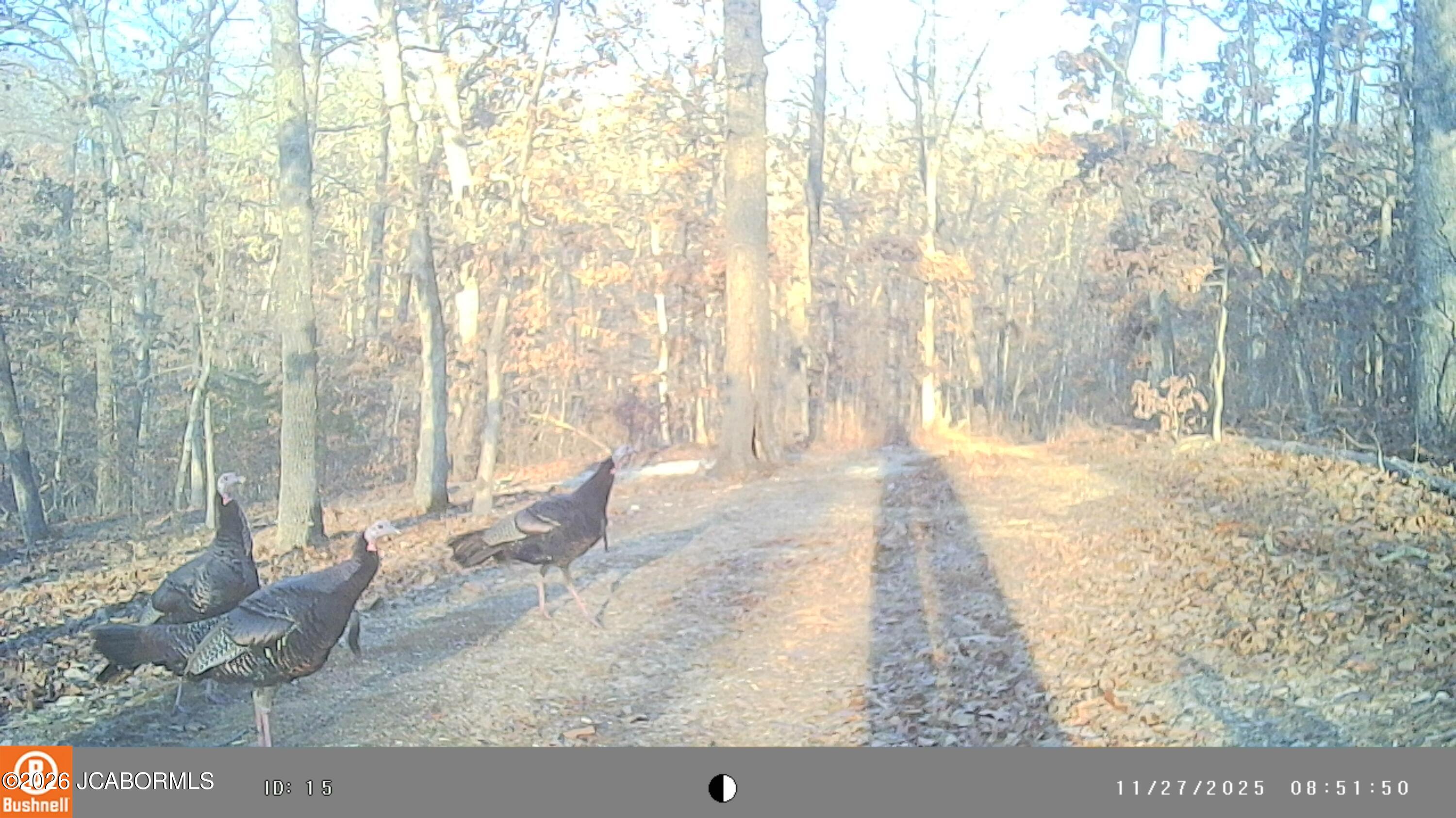 5754 Dry Branch Road St. Clair, MO 63077 - Photo 16 of 20