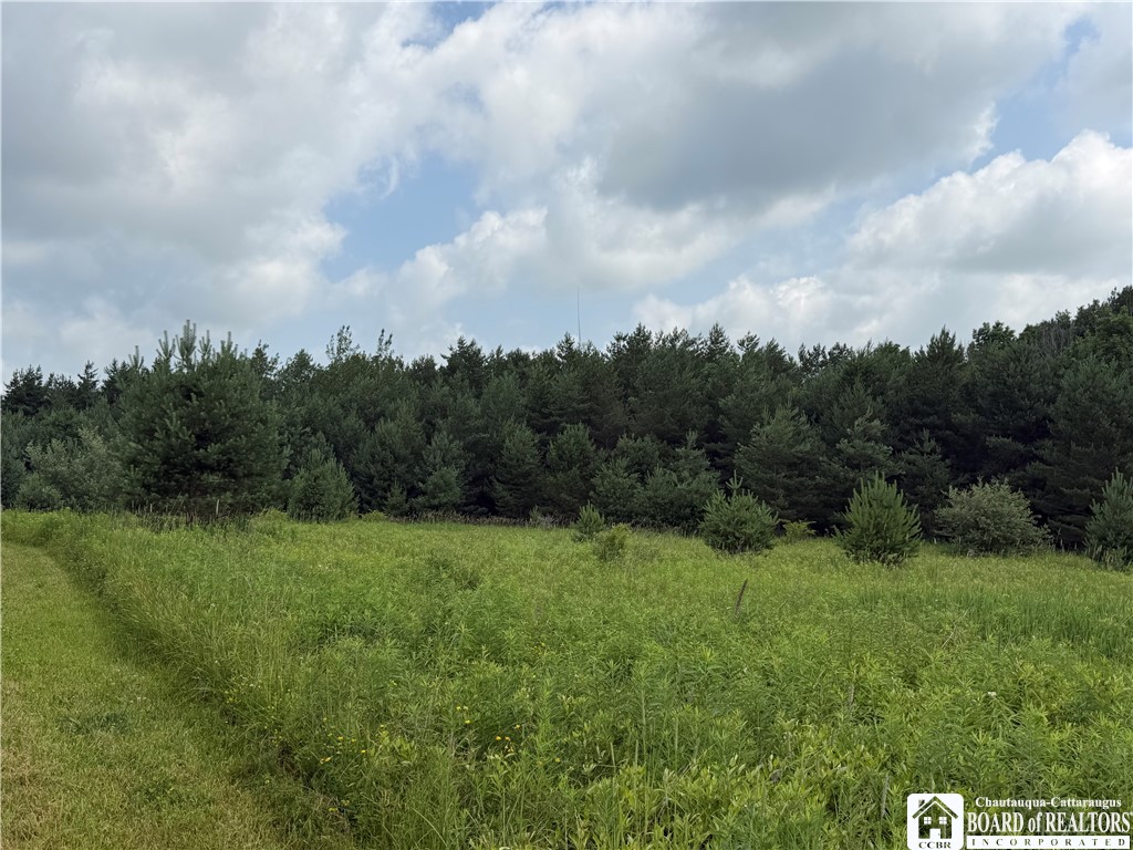 2751 Canfield Road Cohocton, NY 14826 - Photo 9 of 50