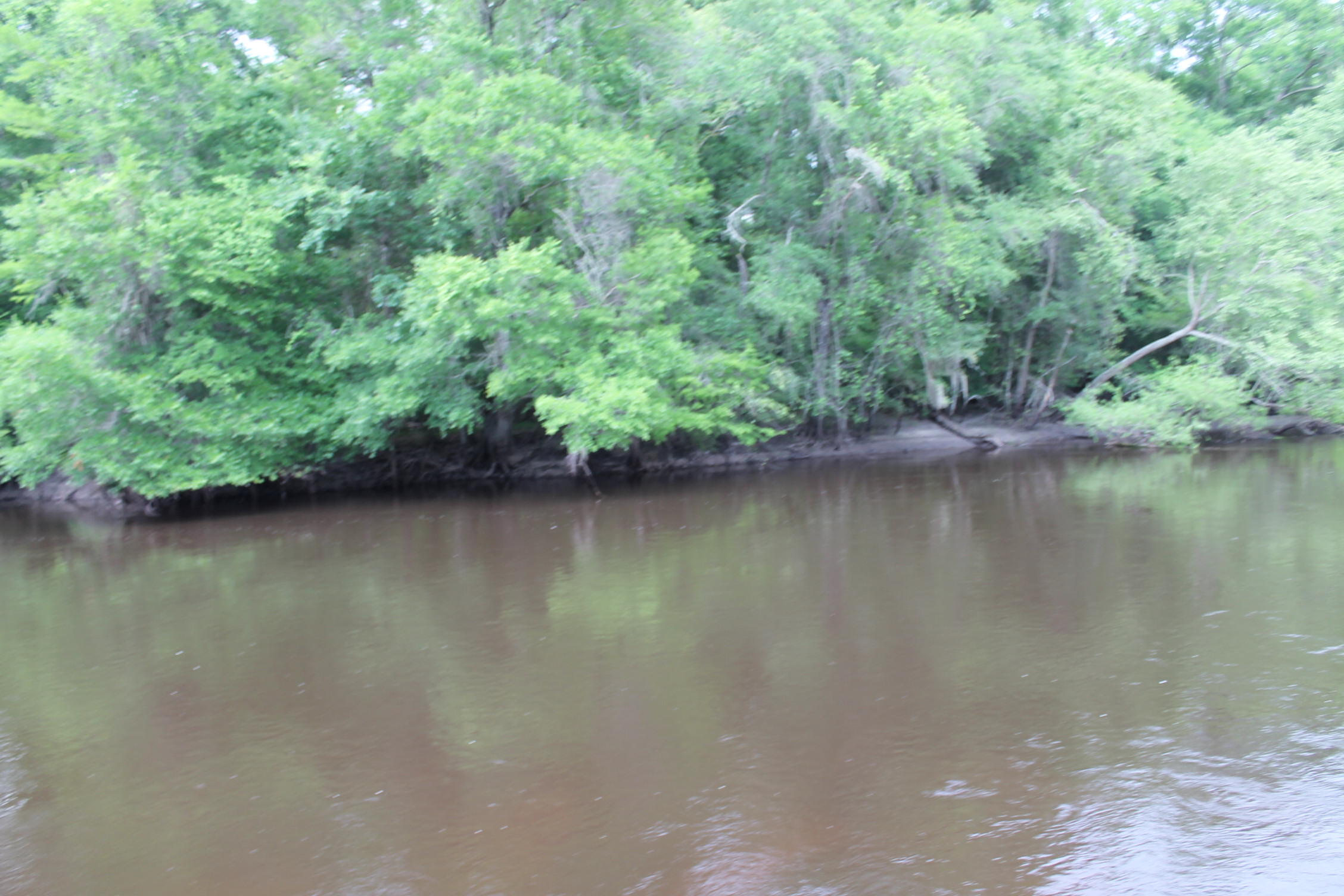 3869 Cannon Road Round O, SC 29474 - Photo 2 of 18 IMG_1621