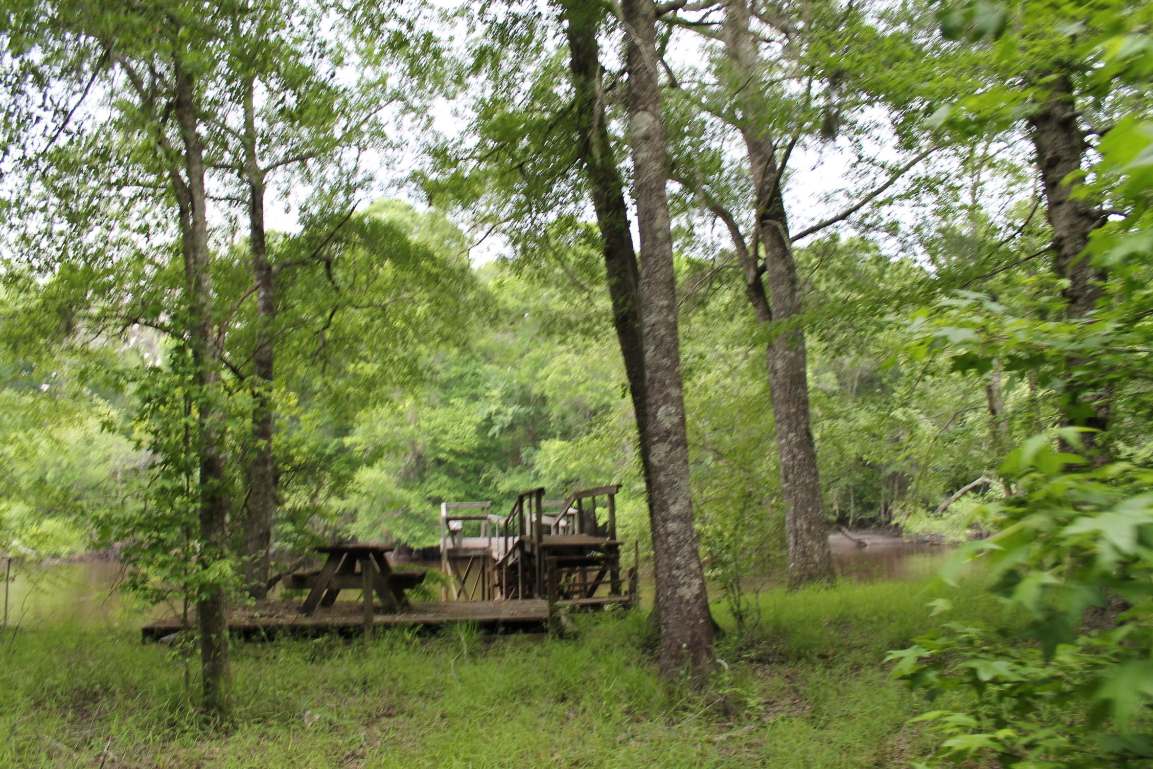 3869 Cannon Road Round O, SC 29474 - Photo 12 of 18 IMG_1610