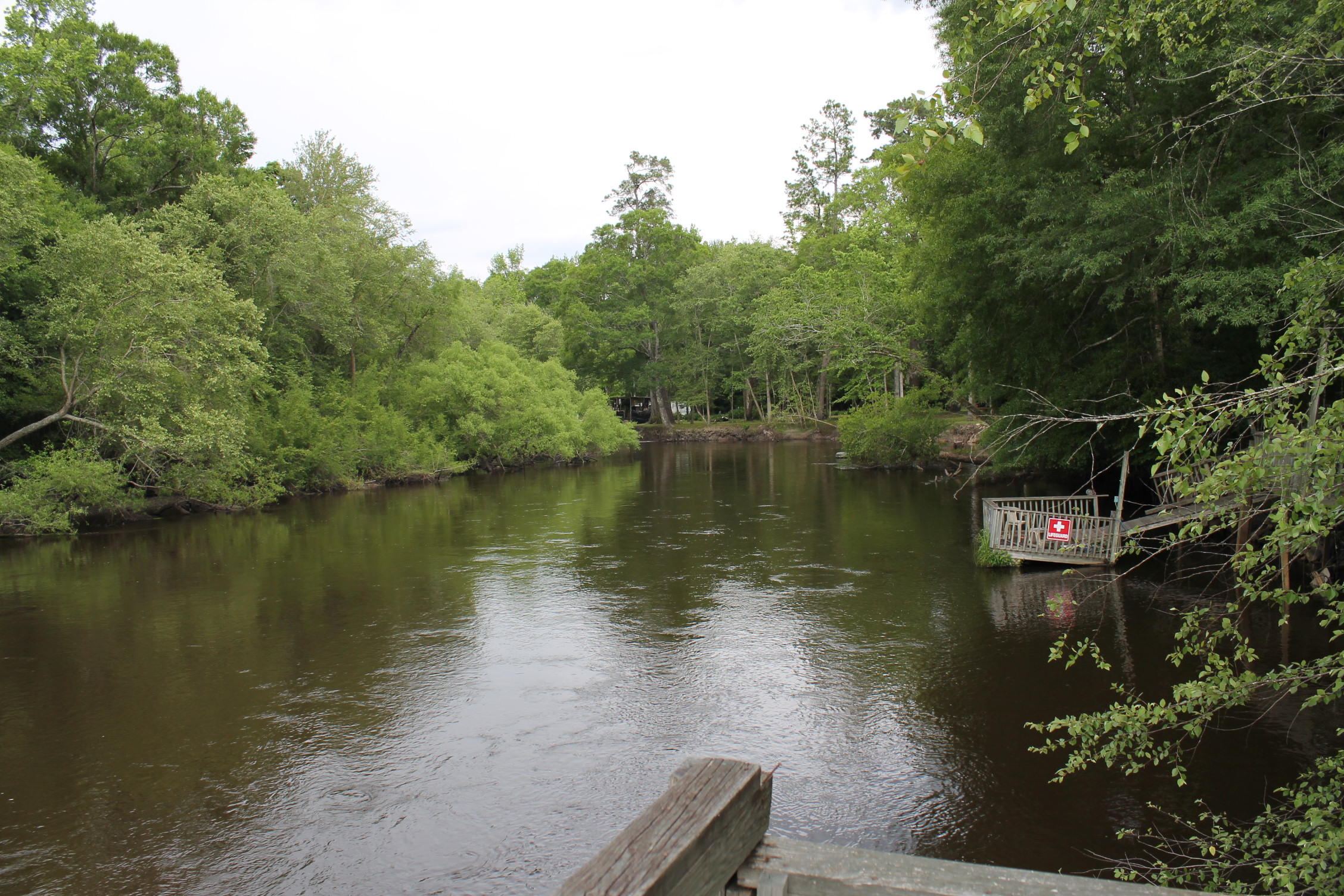 3869 Cannon Road Round O, SC 29474 - Photo 16 of 18 IMG_1619