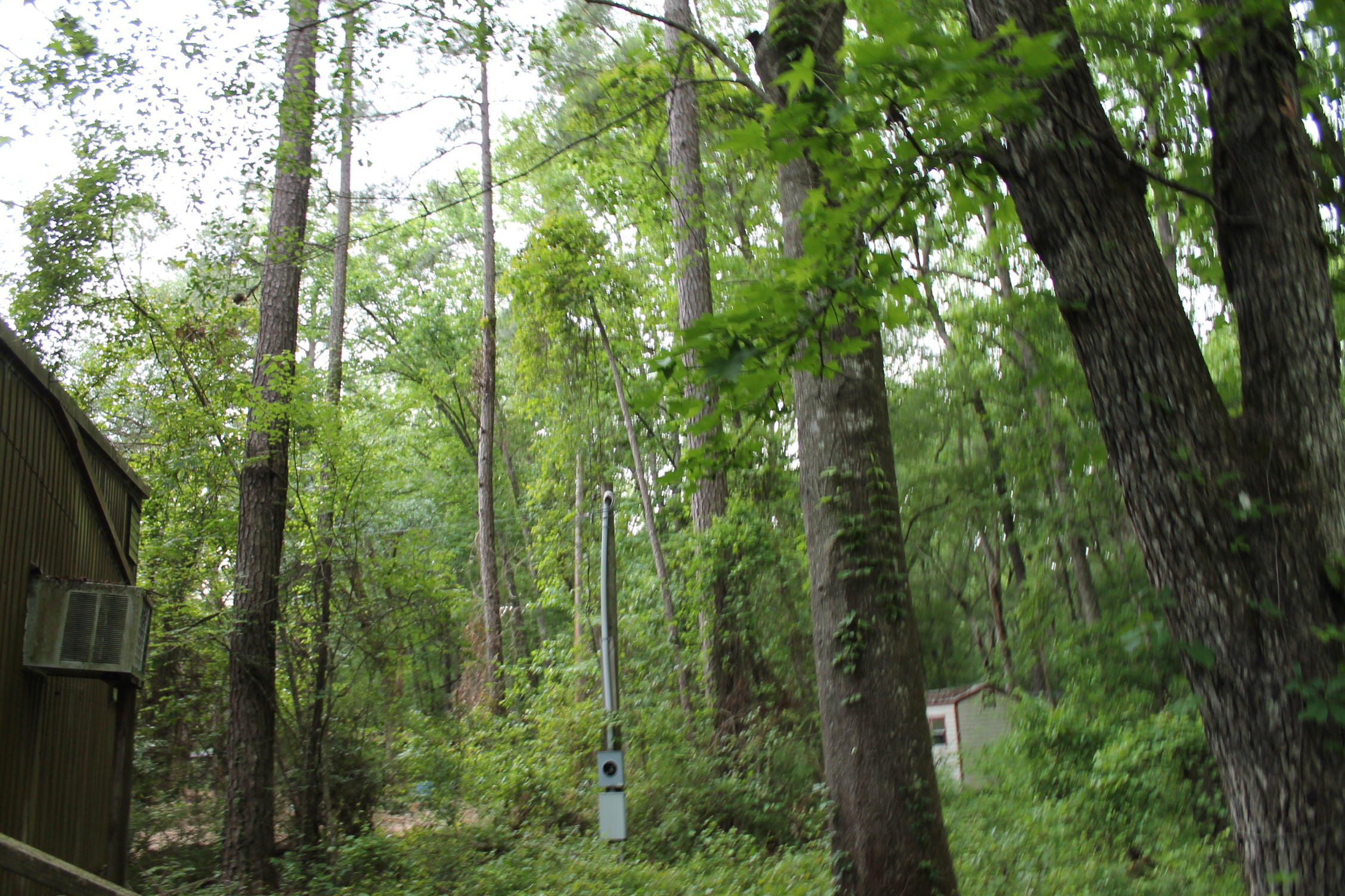 3869 Cannon Road Round O, SC 29474 - Photo 18 of 18 IMG_1633