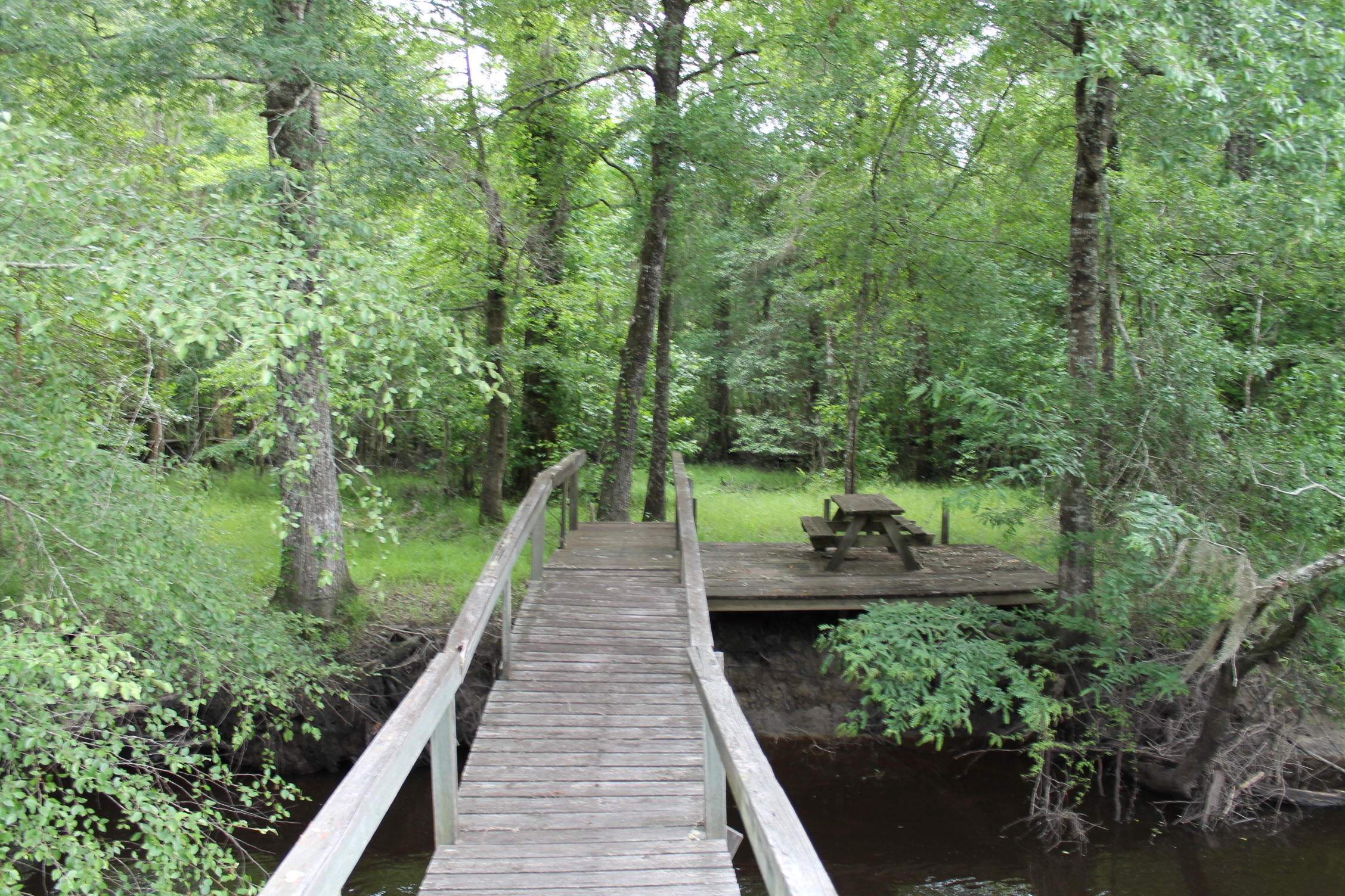 3869 Cannon Road Round O, SC 29474 - Photo 3 of 18 IMG_1626