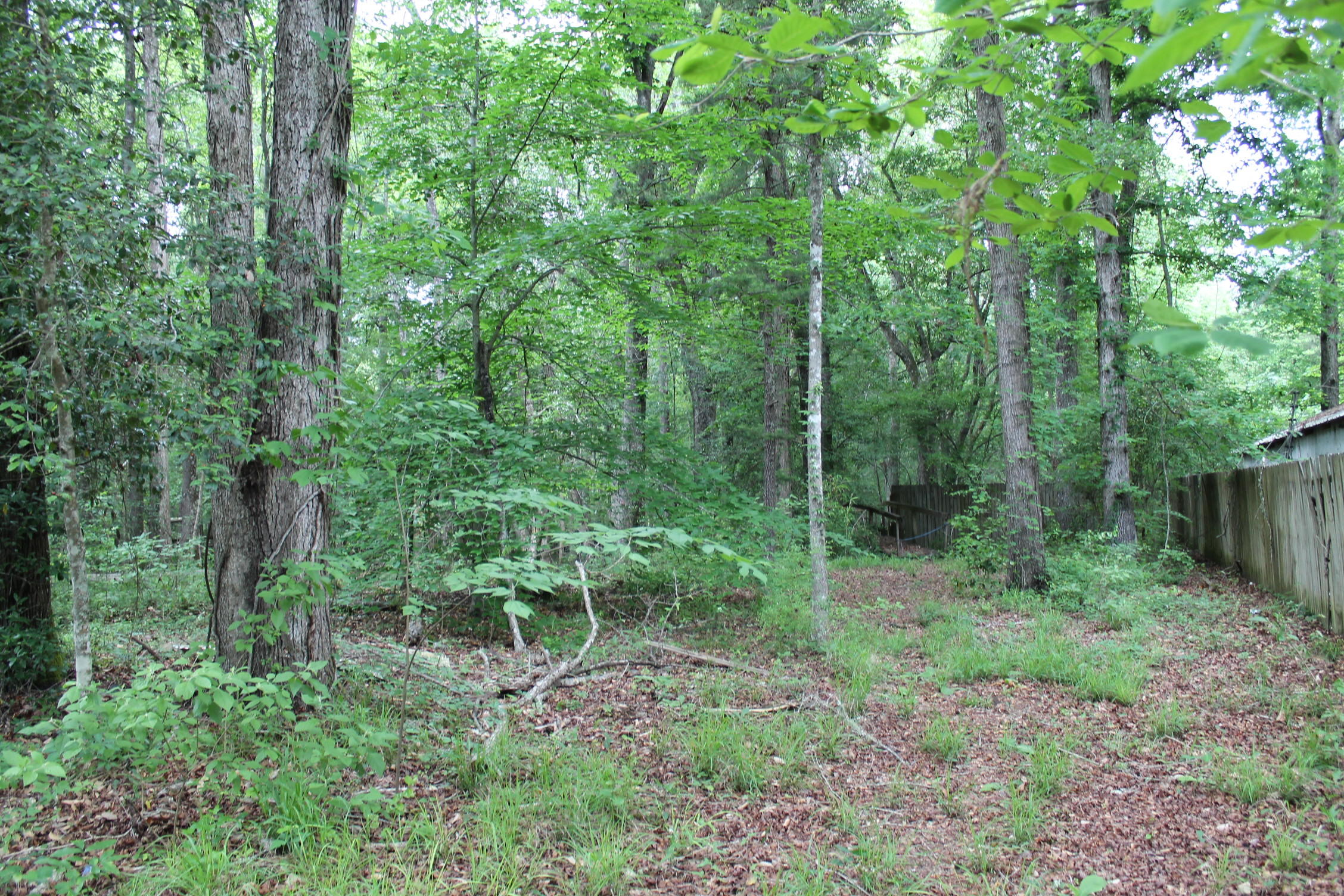 3869 Cannon Road Round O, SC 29474 - Photo 4 of 18 IMG_1582