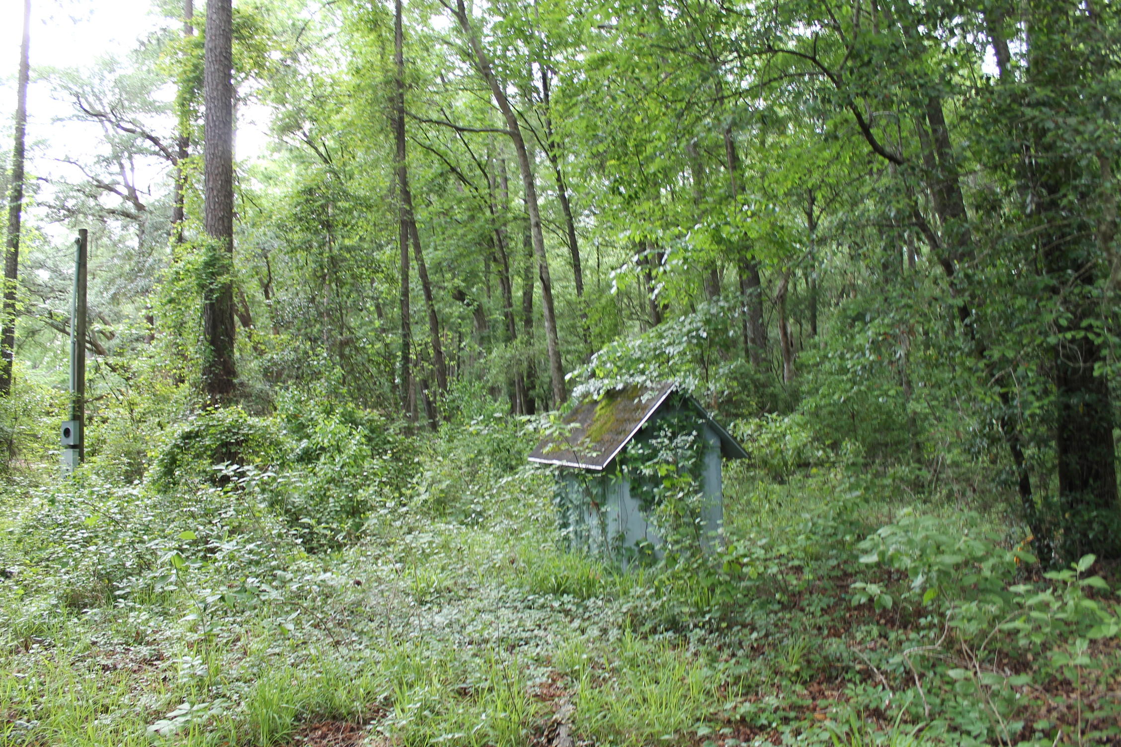 3869 Cannon Road Round O, SC 29474 - Photo 5 of 18 IMG_1584