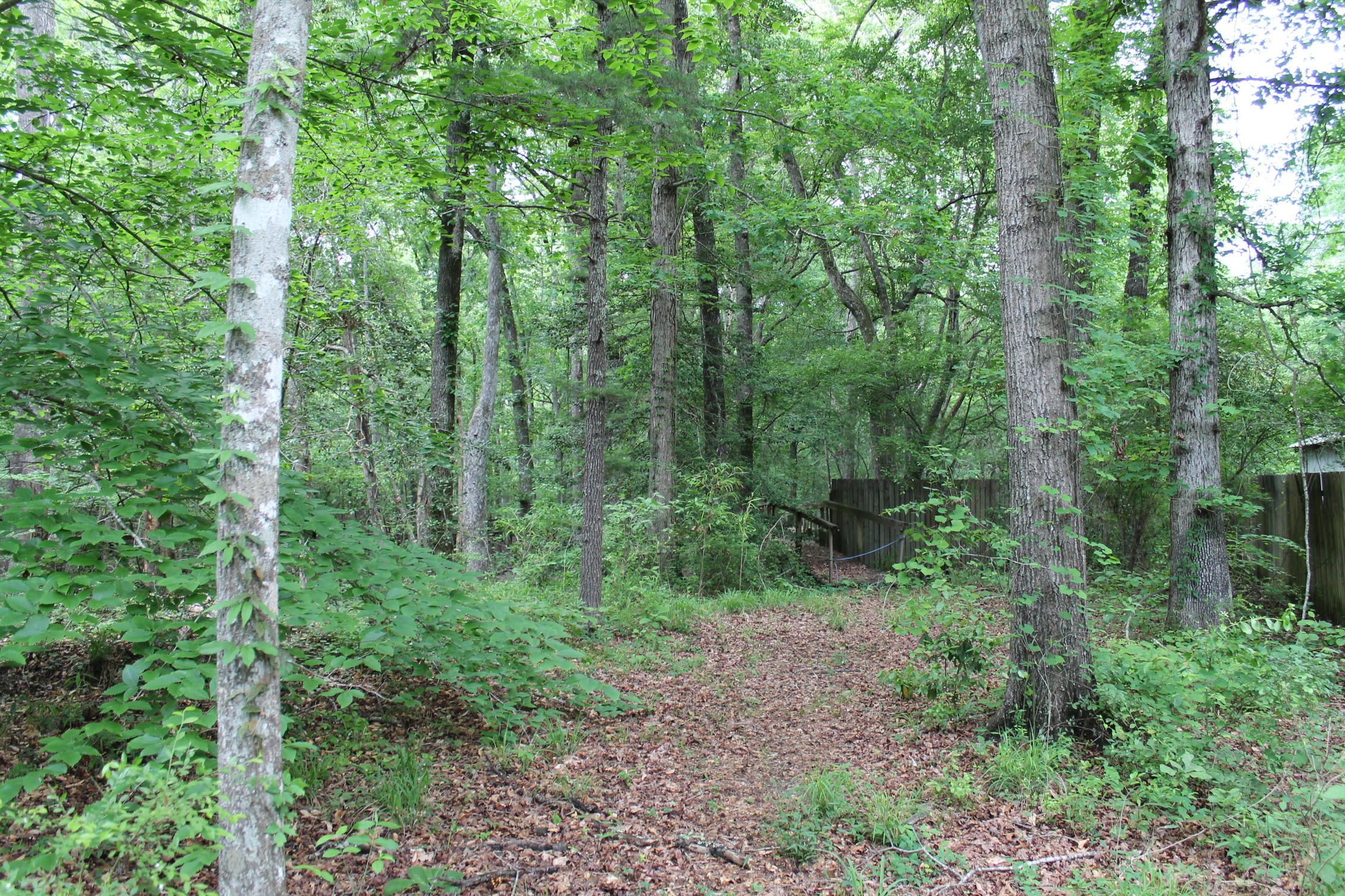 3869 Cannon Road Round O, SC 29474 - Photo 6 of 18 IMG_1585