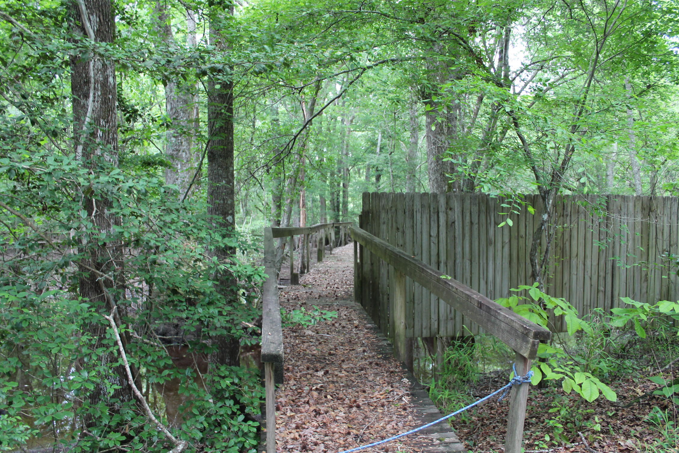 3869 Cannon Road Round O, SC 29474 - Photo 7 of 18 IMG_1587