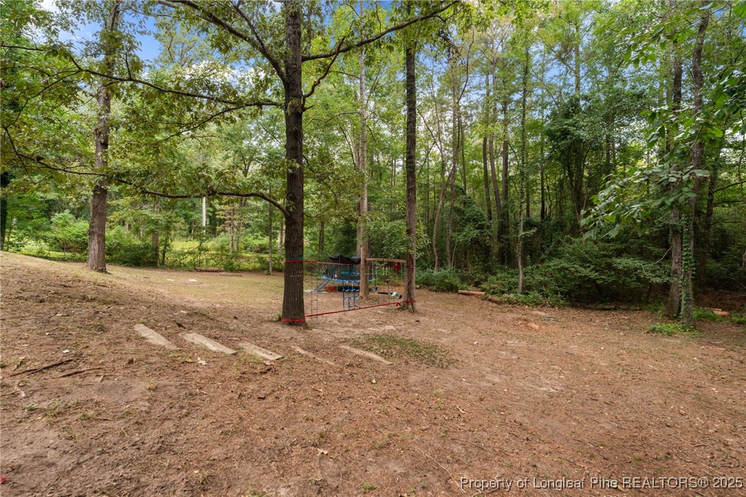 76 North Hillside Drive Spring Lake, NC 28390 - Photo 46 of 50 a view of outdoor space with trees