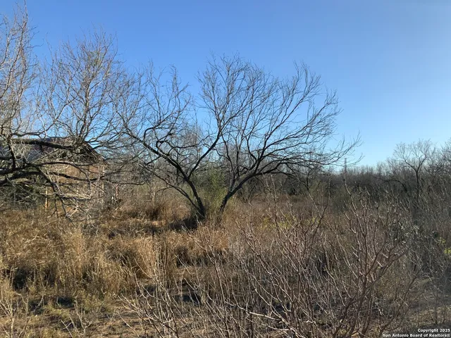 $175,000 | Sv-49-lot 2 Fm 1333, Charlotte, TX 78011