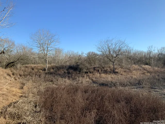 $175,000 | Sv-49-lot 2 Fm 1333, Charlotte, TX 78011