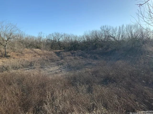 $175,000 | Sv-49-lot 2 Fm 1333, Charlotte, TX 78011