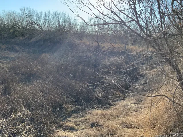 $175,000 | Sv-49-lot 2 Fm 1333, Charlotte, TX 78011