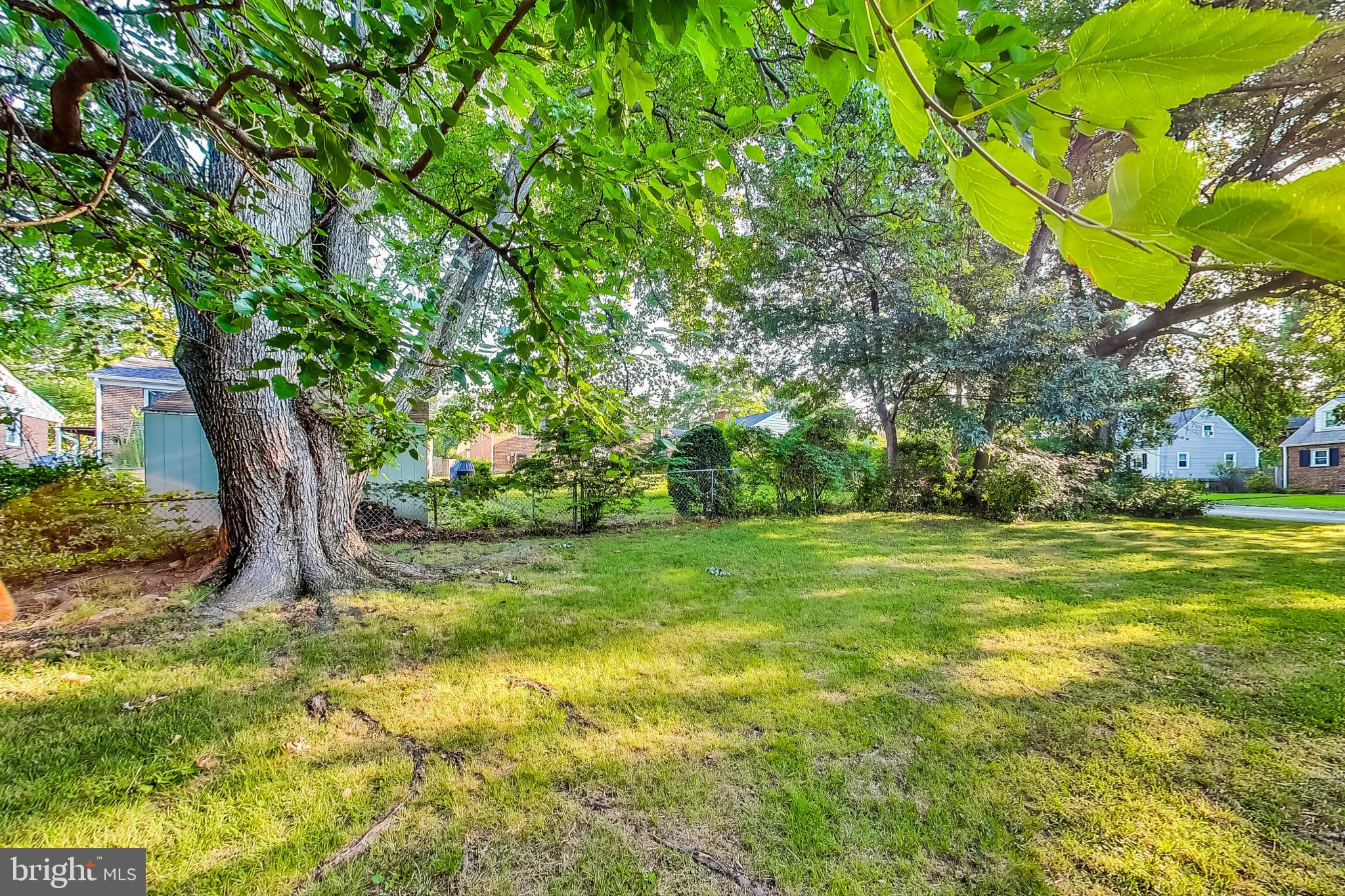 10404 Grandin Road Silver Spring, MD 20902 - Photo 32 of 38 a view of a trees in a yard