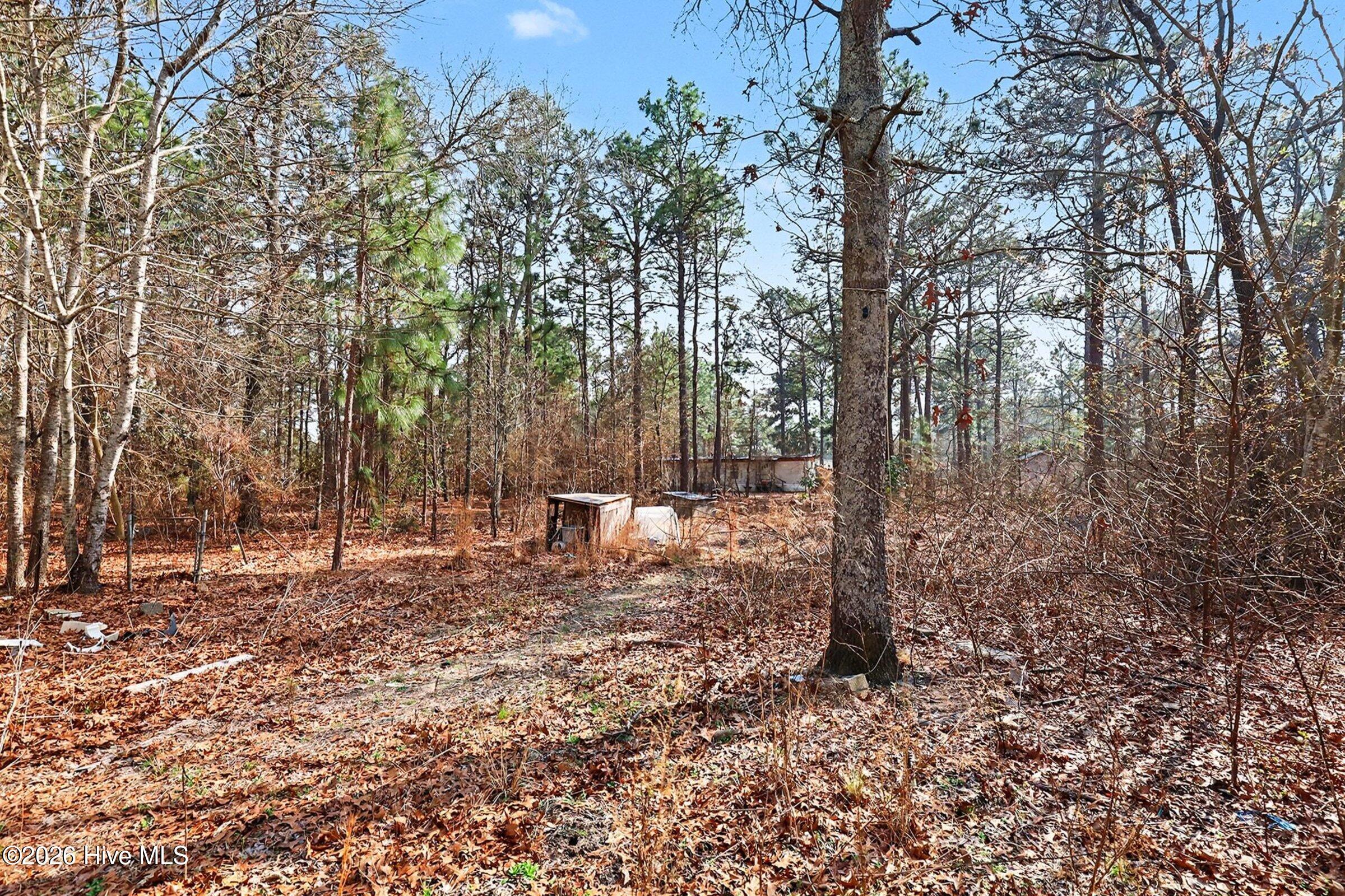 495 Horseshoe Road Aberdeen, NC 28315 - Photo 14 of 20 014_file_2163
