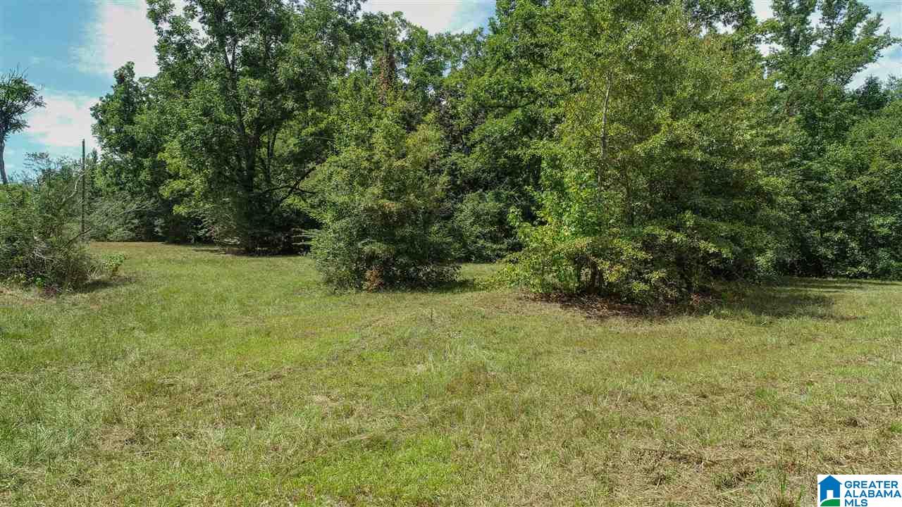 3582 County Road 69, Unit 1 Clanton, AL 35045 - Photo 7 of 8