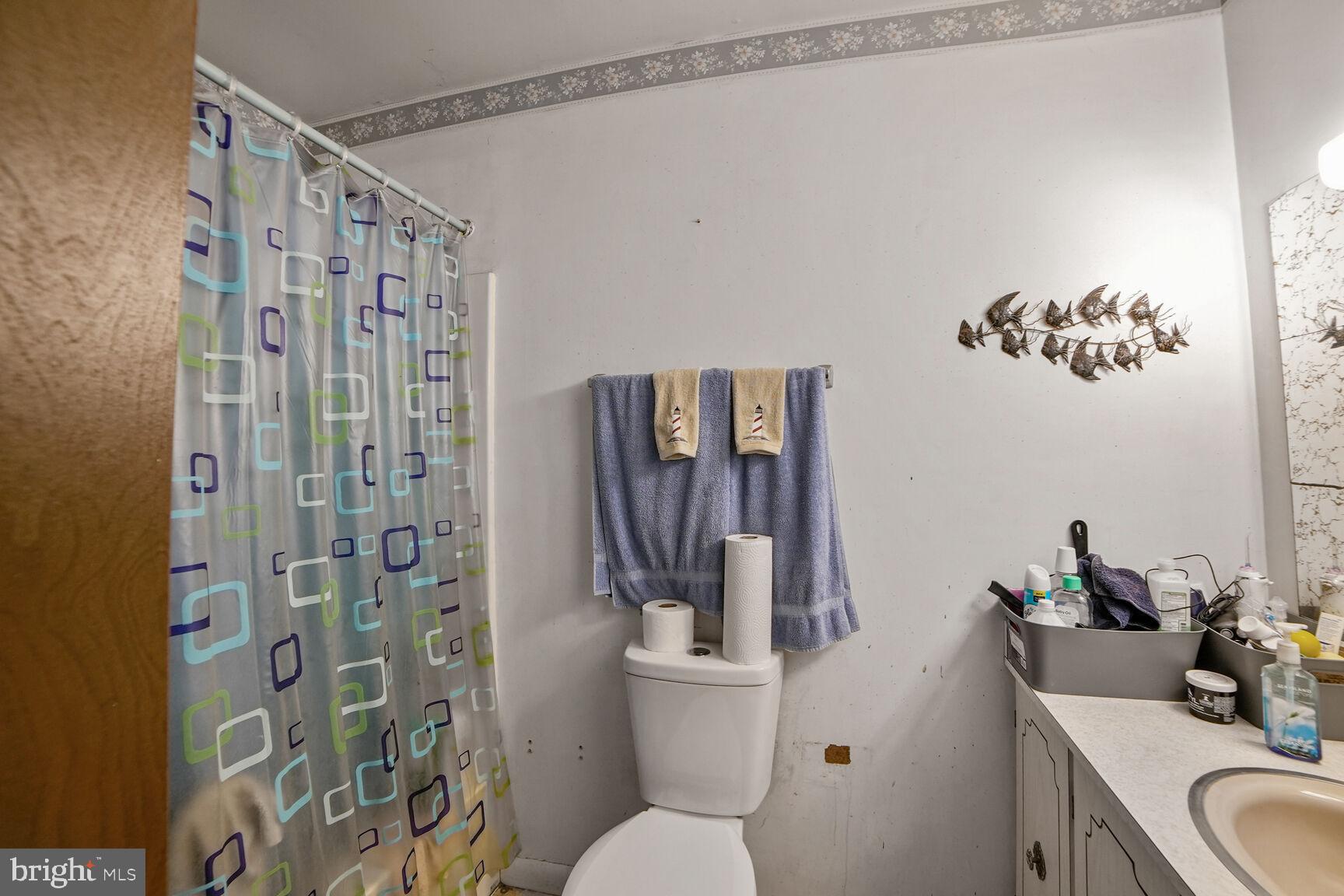 3263 Hawks Hill Road New Windsor, MD 21776 - Photo 13 of 19 a bathroom with a sink a toilet and shower curtain